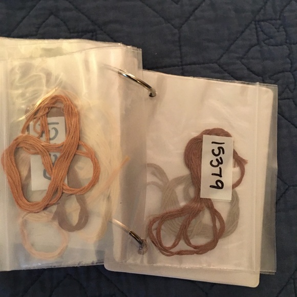 Embroidery floss & two ring binder 28 envelopes of floss - Picture 4 of 6